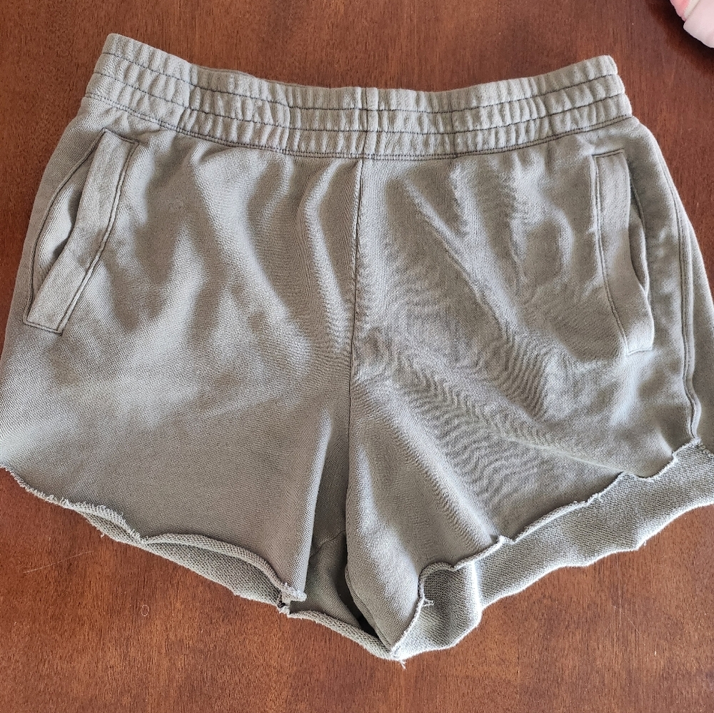 Aerie Sage Green Knit Top